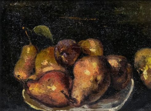 fructe, octav bancila, casa alis, curatorial