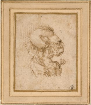 leonardo schita