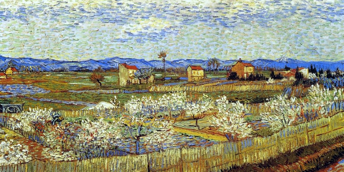 peach trees in blossom 1889