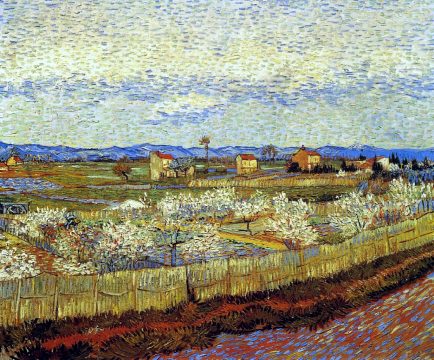 peach trees in blossom 1889