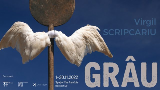 virgil scripcariu, expozitie