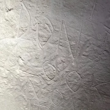 arta, koonalda cave, mirning cultural group