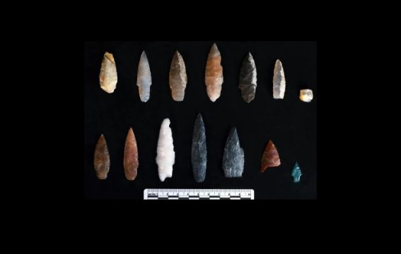 artefacte, oregon state university