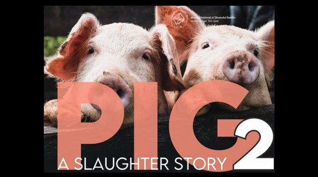 pig 2, mntr
