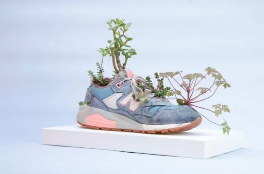 michel blazy untitled 2018 courtesy of the artist and art concept gallery, paris