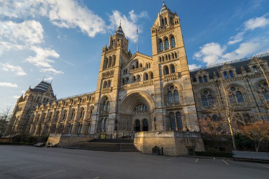 natural,history,museum,of,london,,united,kingdom