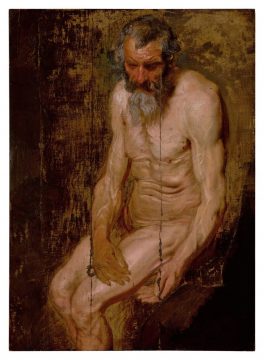 a study for saint jerome anthony va dyck
