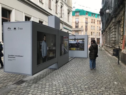 cercetatori, cercetatoare matei bejenaru, timisoara, curatorial.ro
