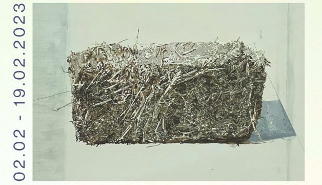 dacian andoni, expo, mntr