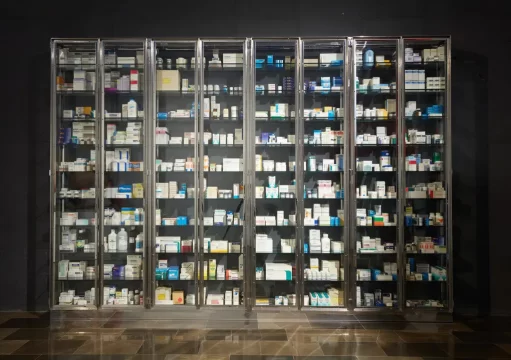 lindemann licitatie damien hirst, the sleep of reason