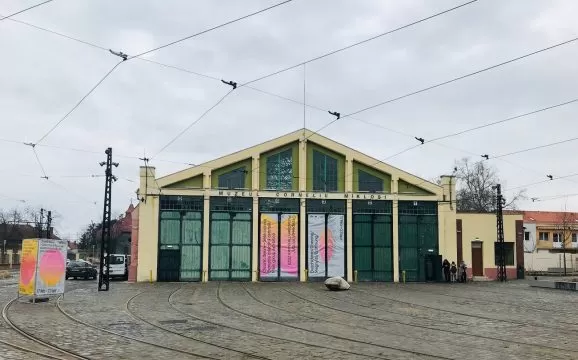 muzeul miklosi, timisoara, curatorial.ro