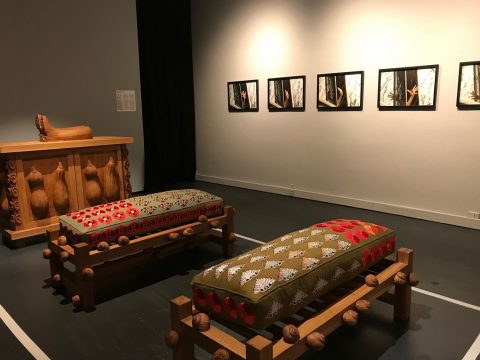 art safari, 2023, curatorial.ro