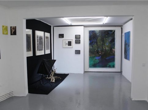 etaj artist run space, despre arbori si nu numai