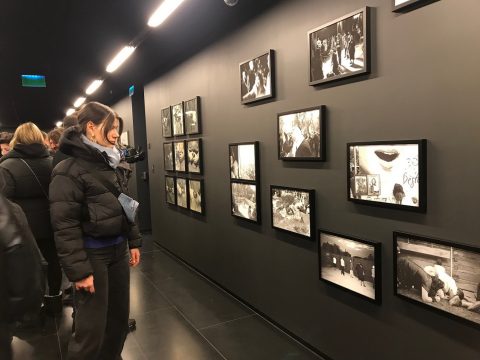 expozitie foto, mare, curatorial.ro