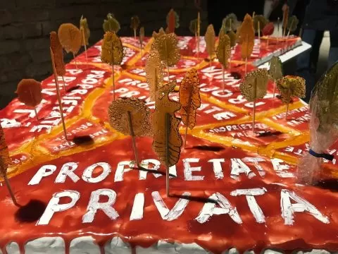 instalatie 1 maria mandea, gaep, curatorial.ro