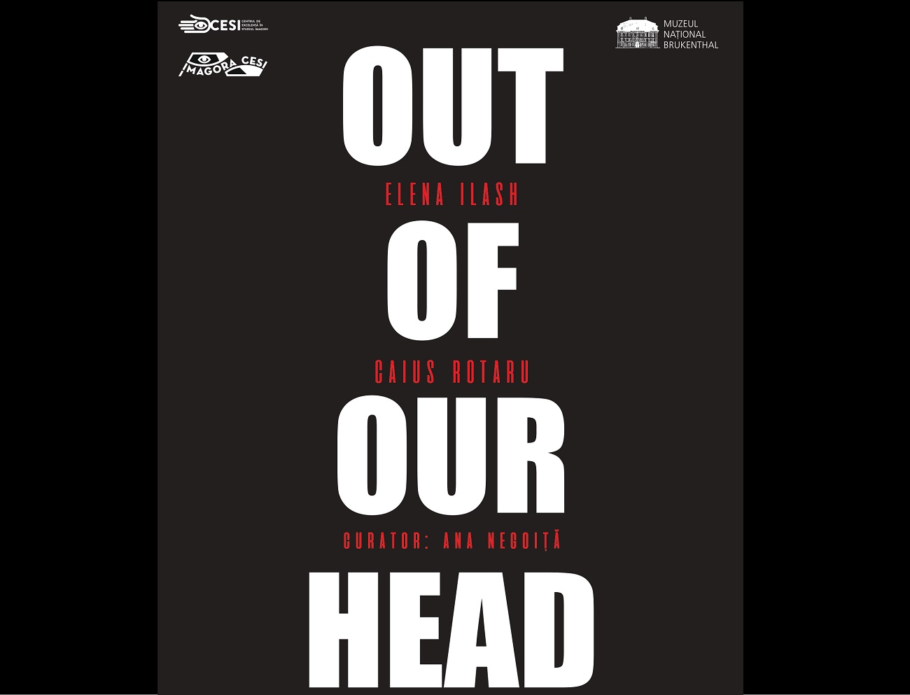 out of our heads, expozitie, sibiu