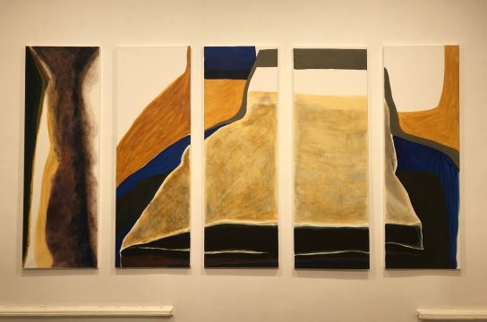 ana maria szöllösi, the stamps, gaep, accelerator, curatorial.ro