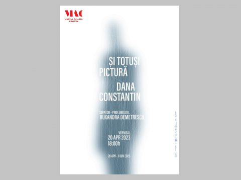 dana constantin, expo, muzeul de artă craiova