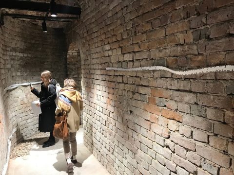 gaep, expo accelerator, curatorial.ro