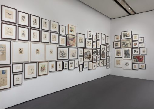 lee lozano. strike, pinacoteca agnelli torino, foto sebastiano pellion di persano