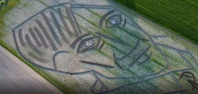 picasso, verona