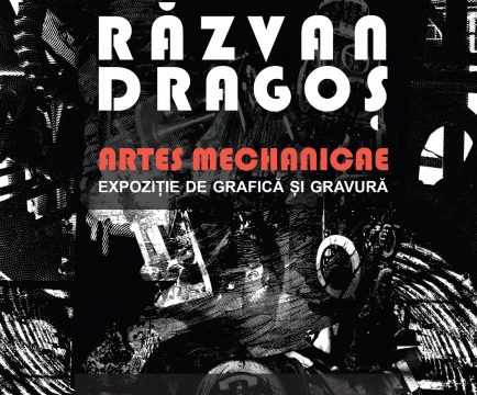 răzvan dragoș, la galeria simeza