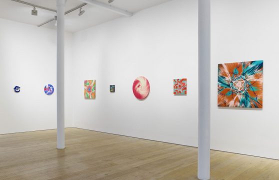 the beautiful paintings, heni, damien hirst, 2023. photographed by prudence cuming associates ltd.
