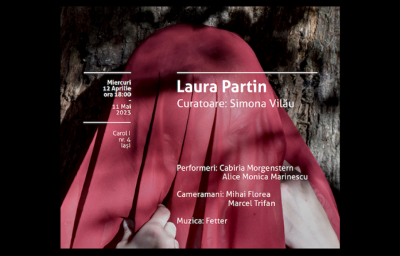 afis laura partin expozitie