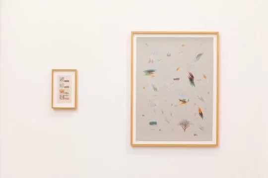 back to where it all began, exhibition installation view, artist roberta curcă courtesy of gaep