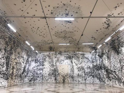 carlos amorales, mnac, curatorial.ro