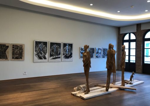 mircia dumitrescu, expozitie, curatorial.ro