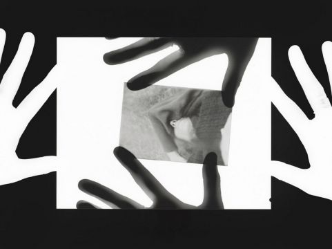 sophie thun some of all (the) things in my apartment smaller than, 2020, photogram pe hârtie baryta