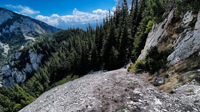 grohotisul din crapatura si piatra mica curatorial.ro