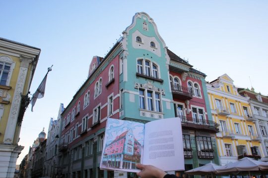 detaliul secession timisoara1