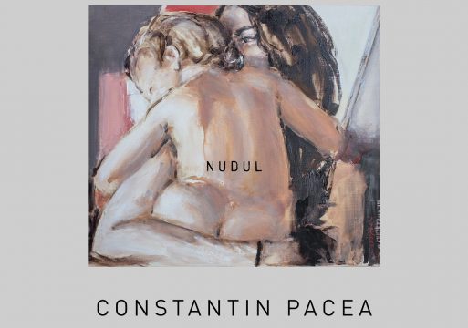 expozitie nudul constantin pacea