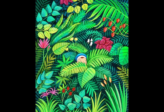 my father's dragon, interior, helena perez