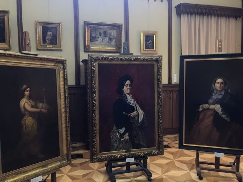 odaliscă, portretul pepicăi aman, boieroaică, muzeul theodor aman, curatorial.ro