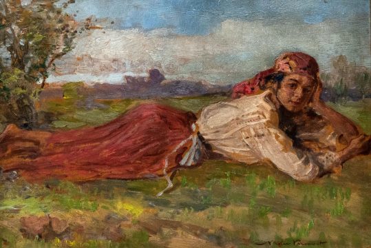 tiganca culcata in iarba, nicolae vermont