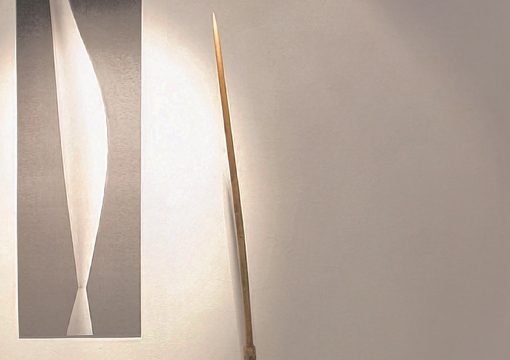 asteptandu l pe brancusi, donici