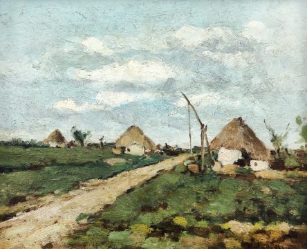 case de tara, ioan andreescu