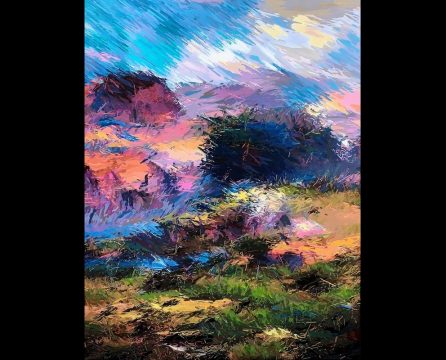 in armonie cu natura, daniel bulimar henciu
