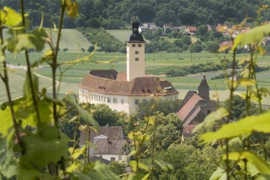 muzeul transilvănean gundelsheim, castelul horneck