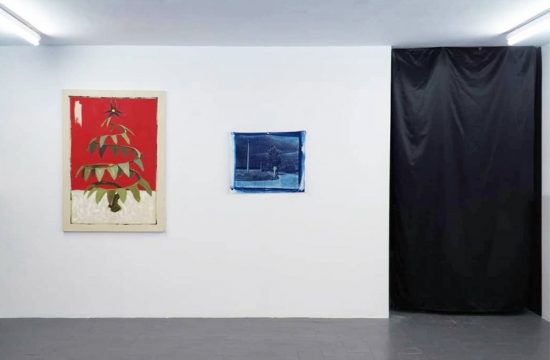 prezentare la razvan nastase