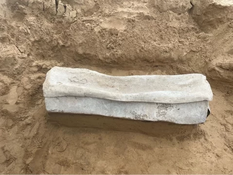sarcofag din plumb, fasia gaza, pui