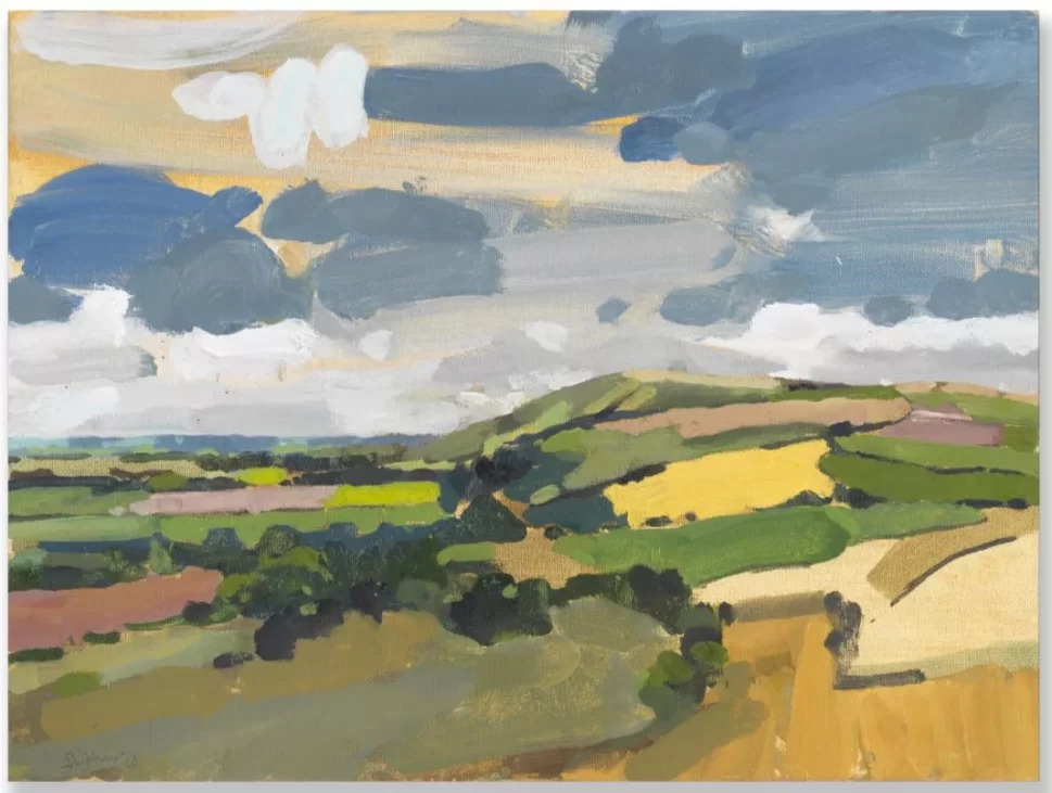 the downs, afternoon light simon johnson