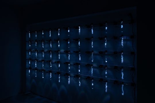 uncanny order, asociația qolony