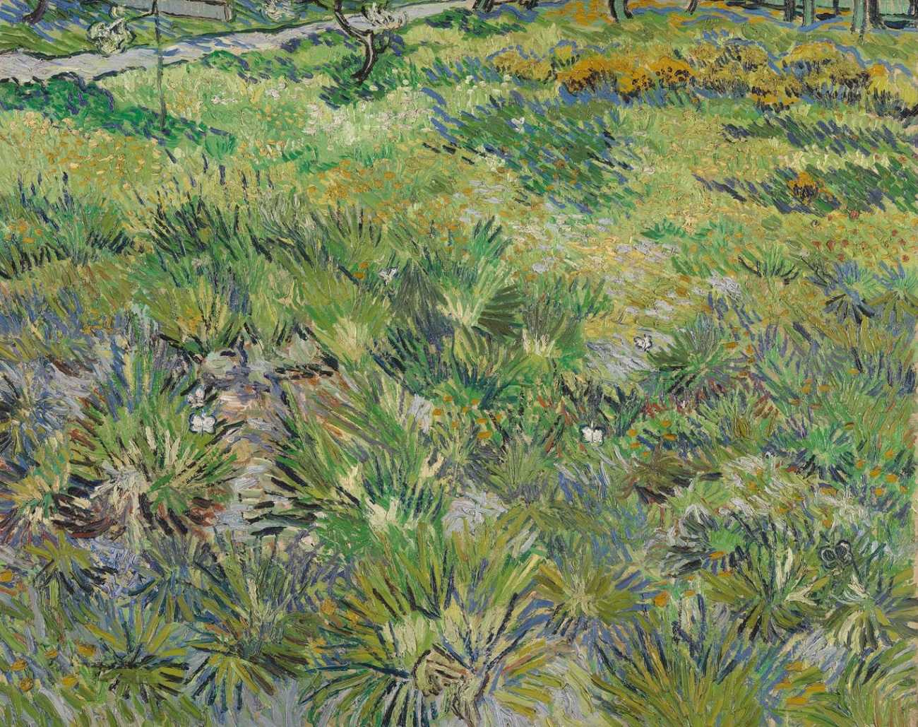 vincent van gogh, long grass with butterflies, 1890 ng