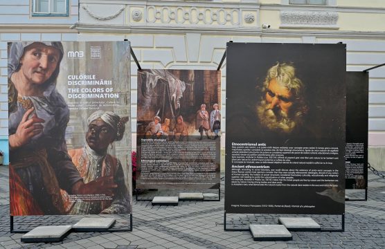 culorile discriminarii, brukenthal