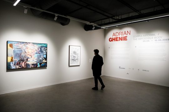 expozitie ghenie, credit foto andrei infinit