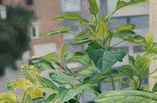 ana maria micu, detaliu